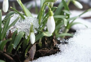 Буде тепло, але недовго: прогноз погоди на 14 березня