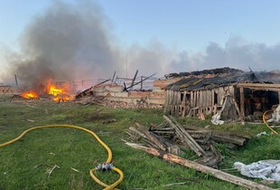 Росіяни ударами БпЛА вбили сотні свійських тварин на Сумщині