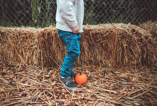 Як зберігати сіно взимку, щоб воно не гнило: типові помилки