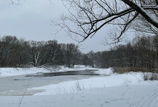 Прогноз погоди на 19 лютого: де в Україні пройдуть дощі та сніг