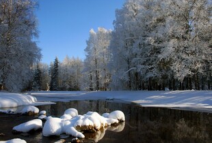В Україні потепліє, але буде дощ і вітер: прогноз на 23 лютого